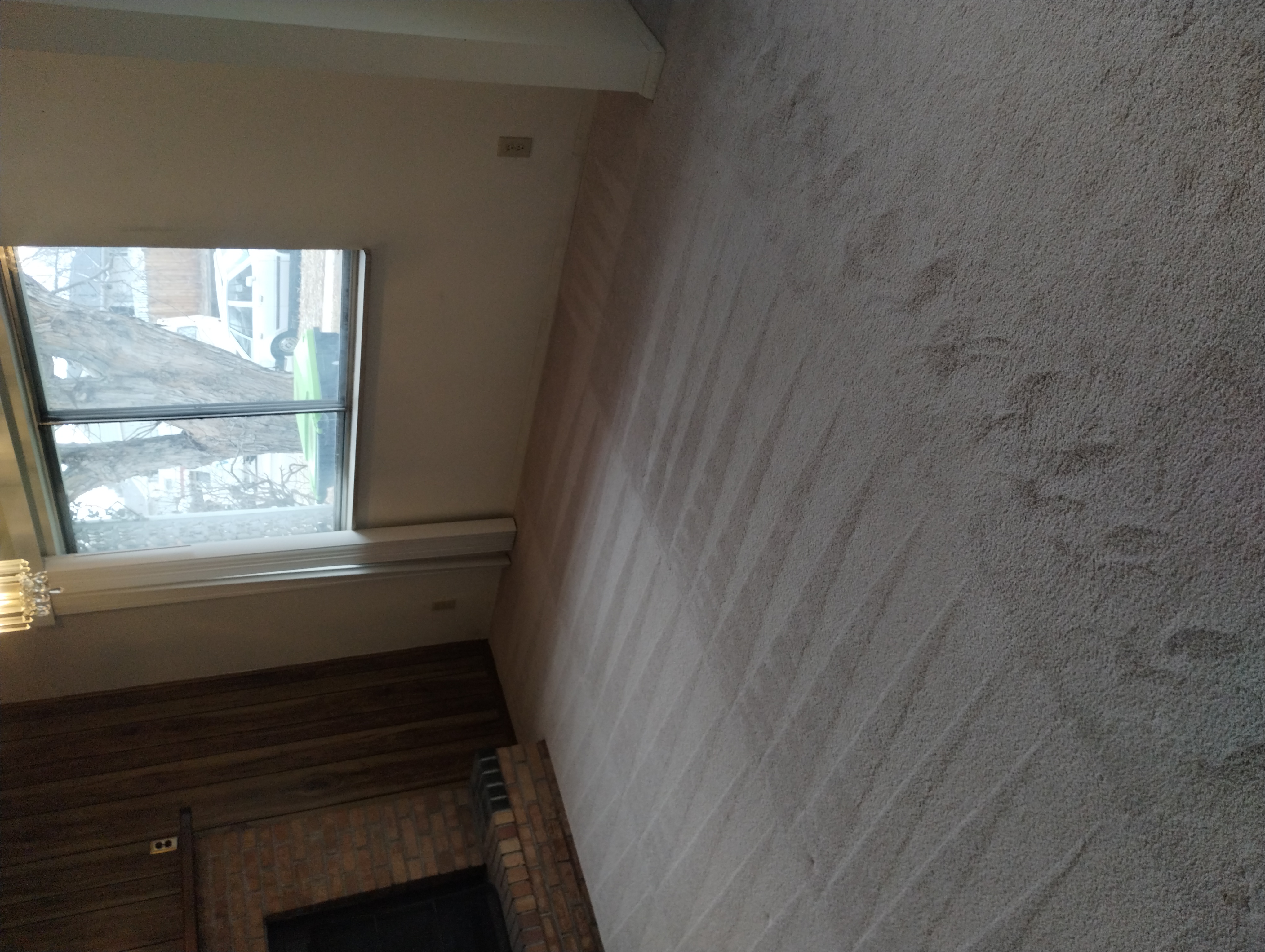 After cleaning customer's living room carpet