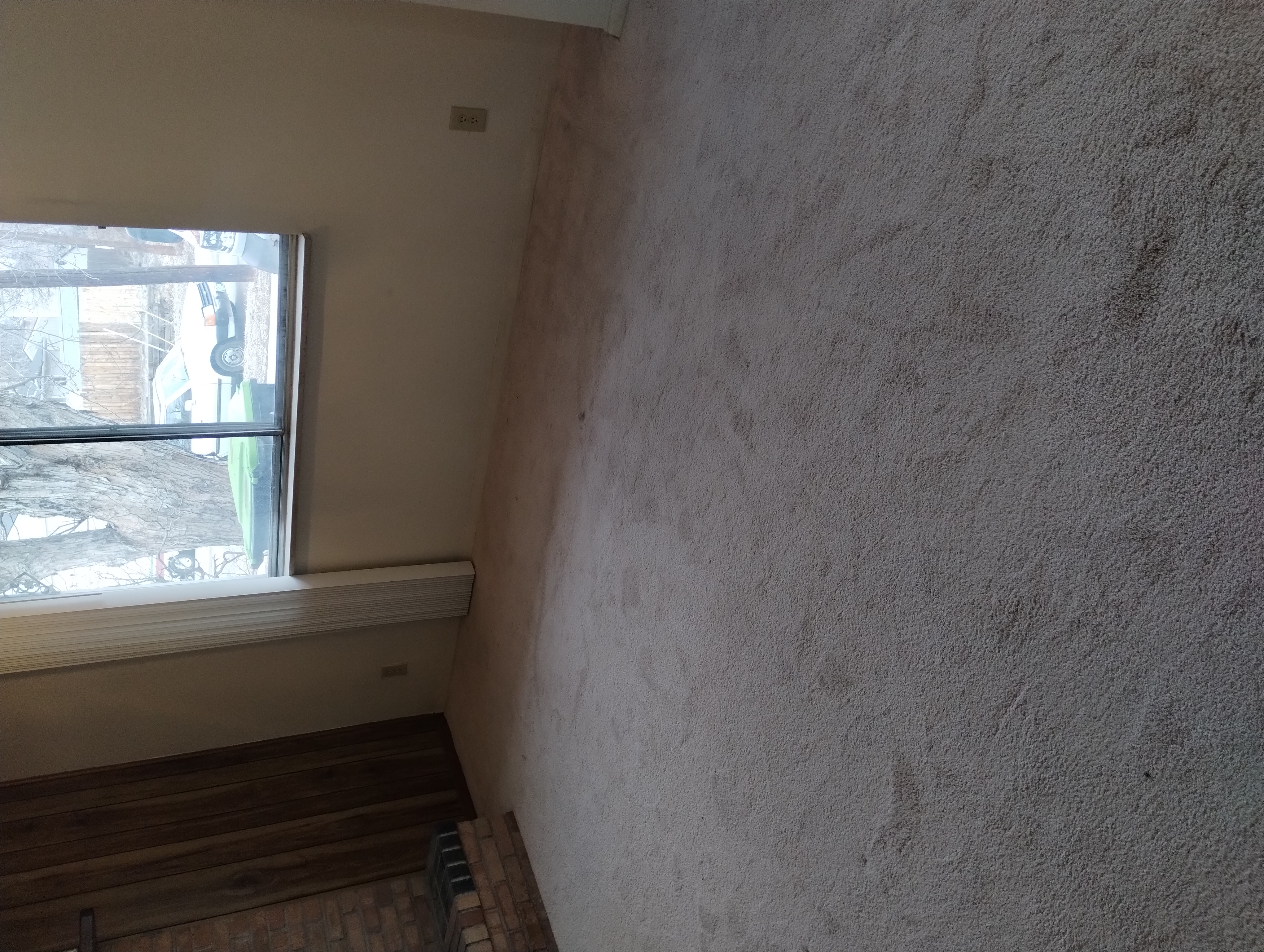 Before cleaning customer's living room carpet