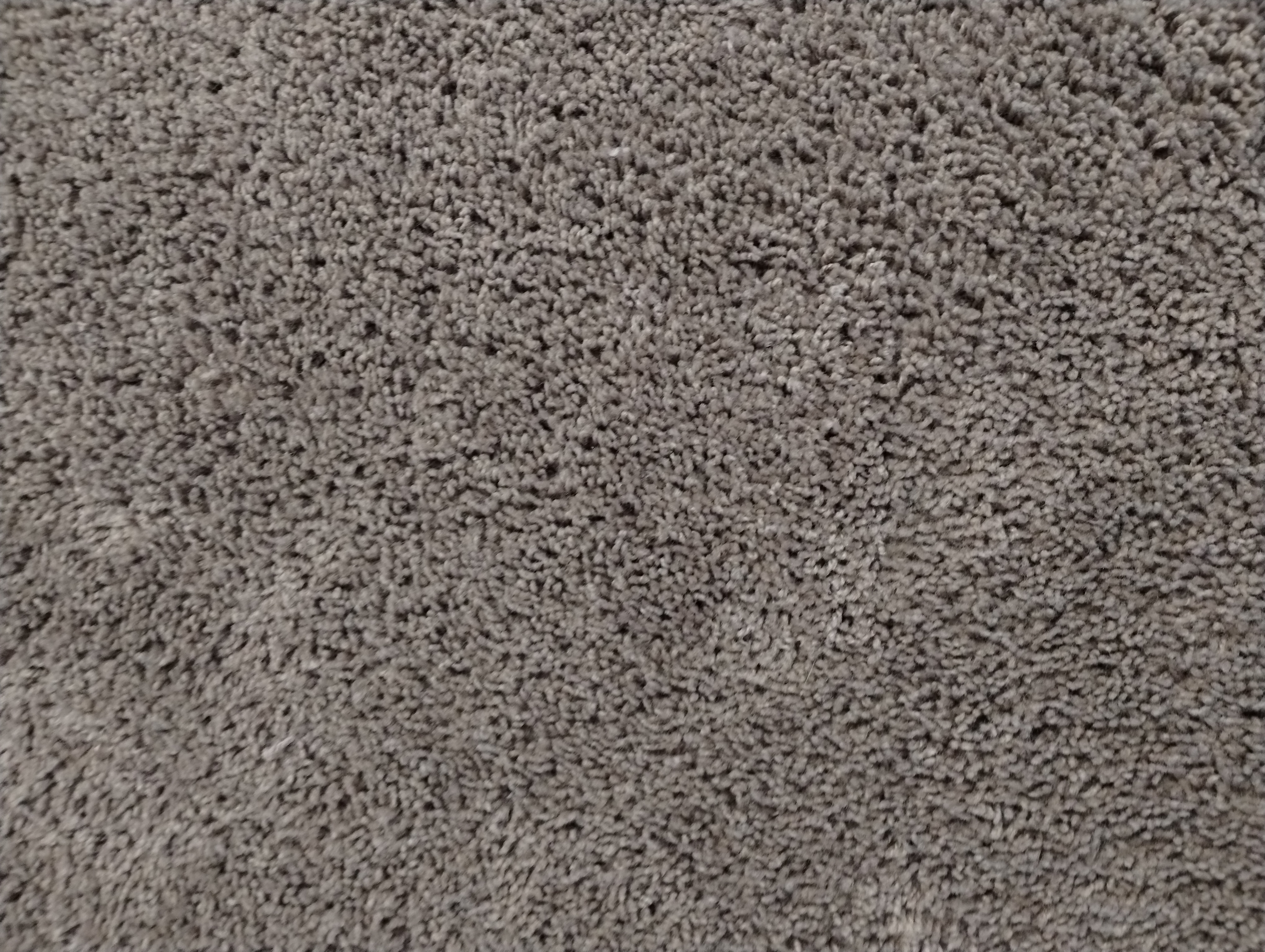 Pet carpet damage repair — after