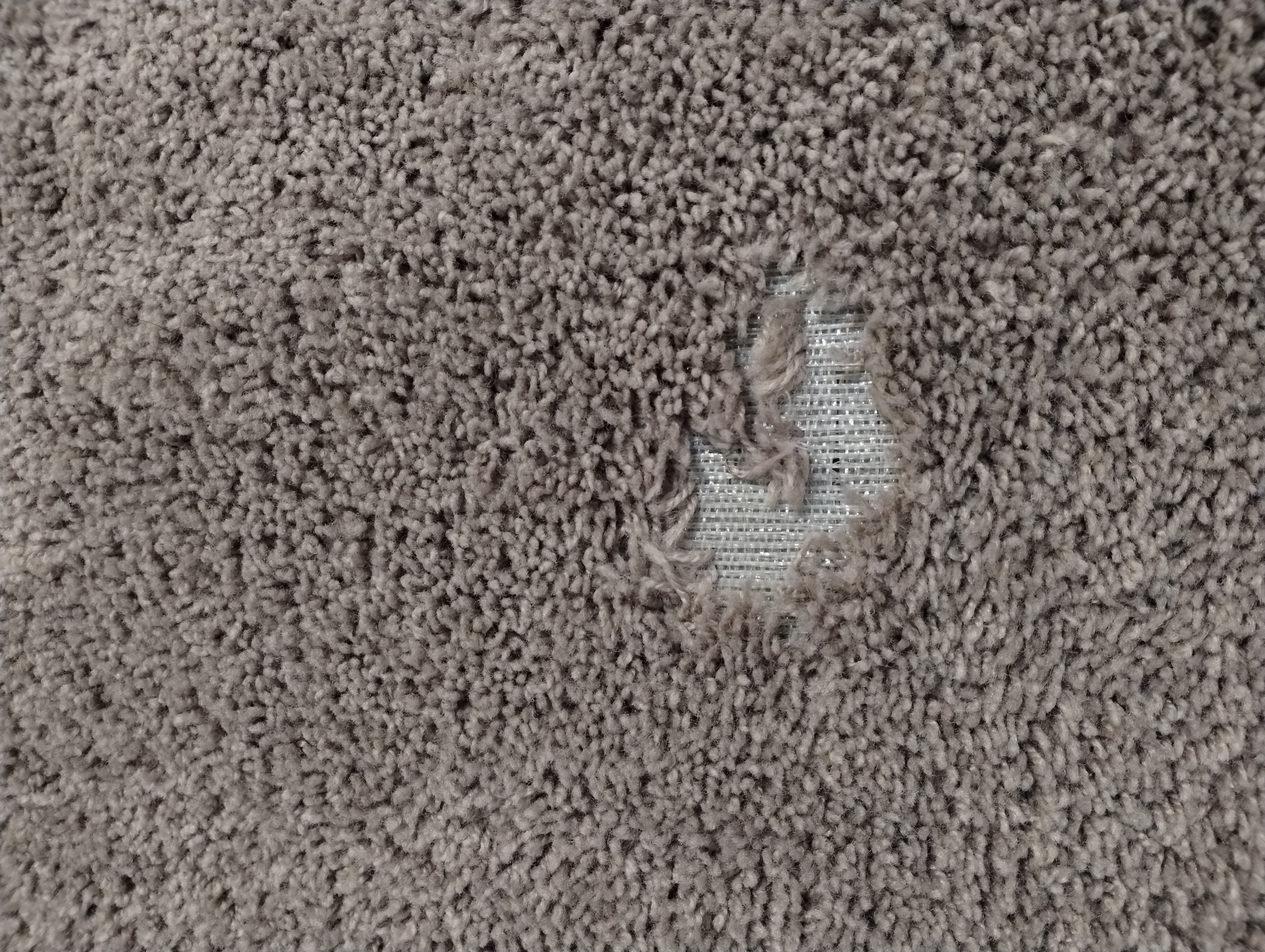 Pet carpet damage repair — before