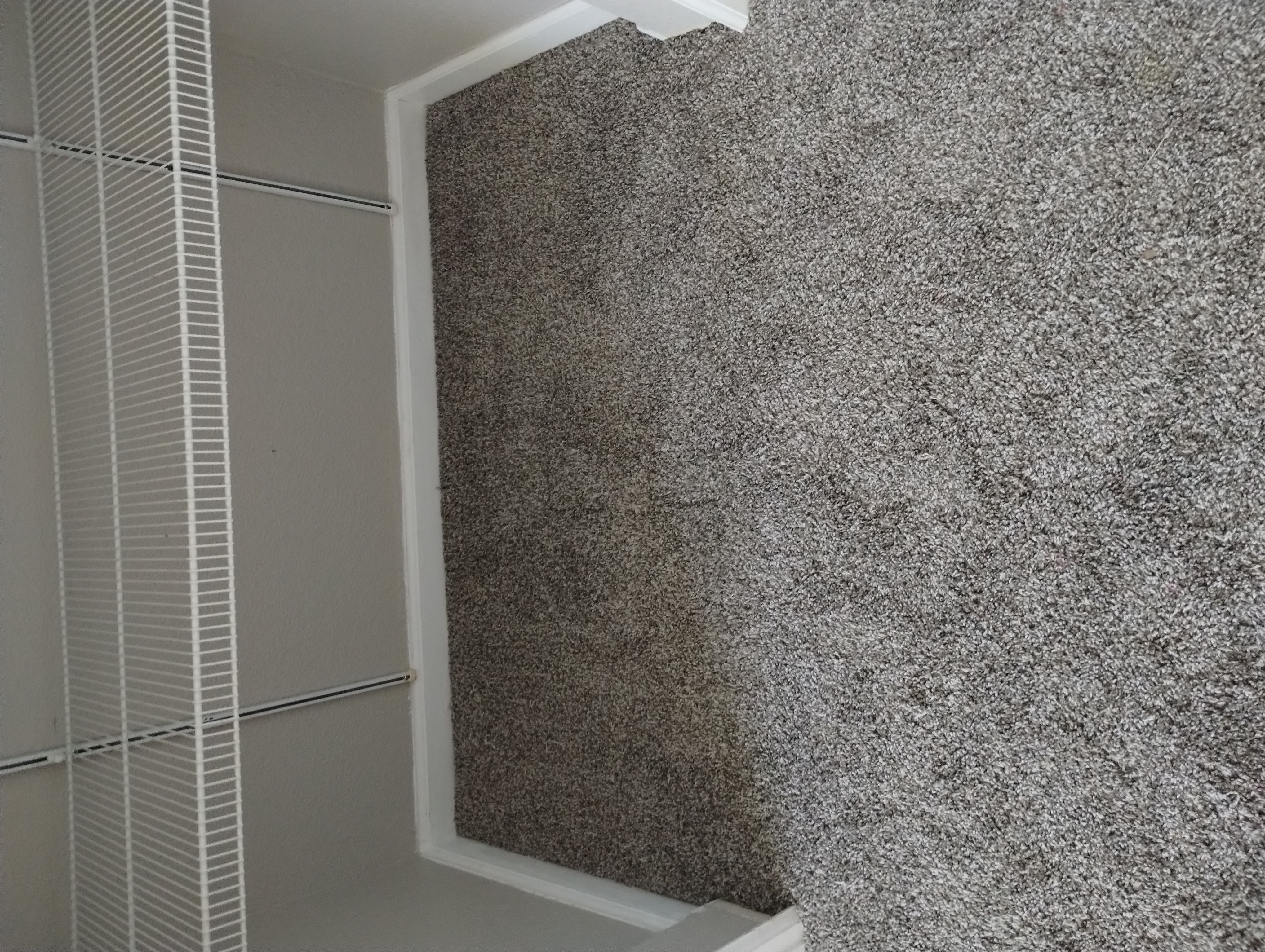 Pet carpet damage repair — after