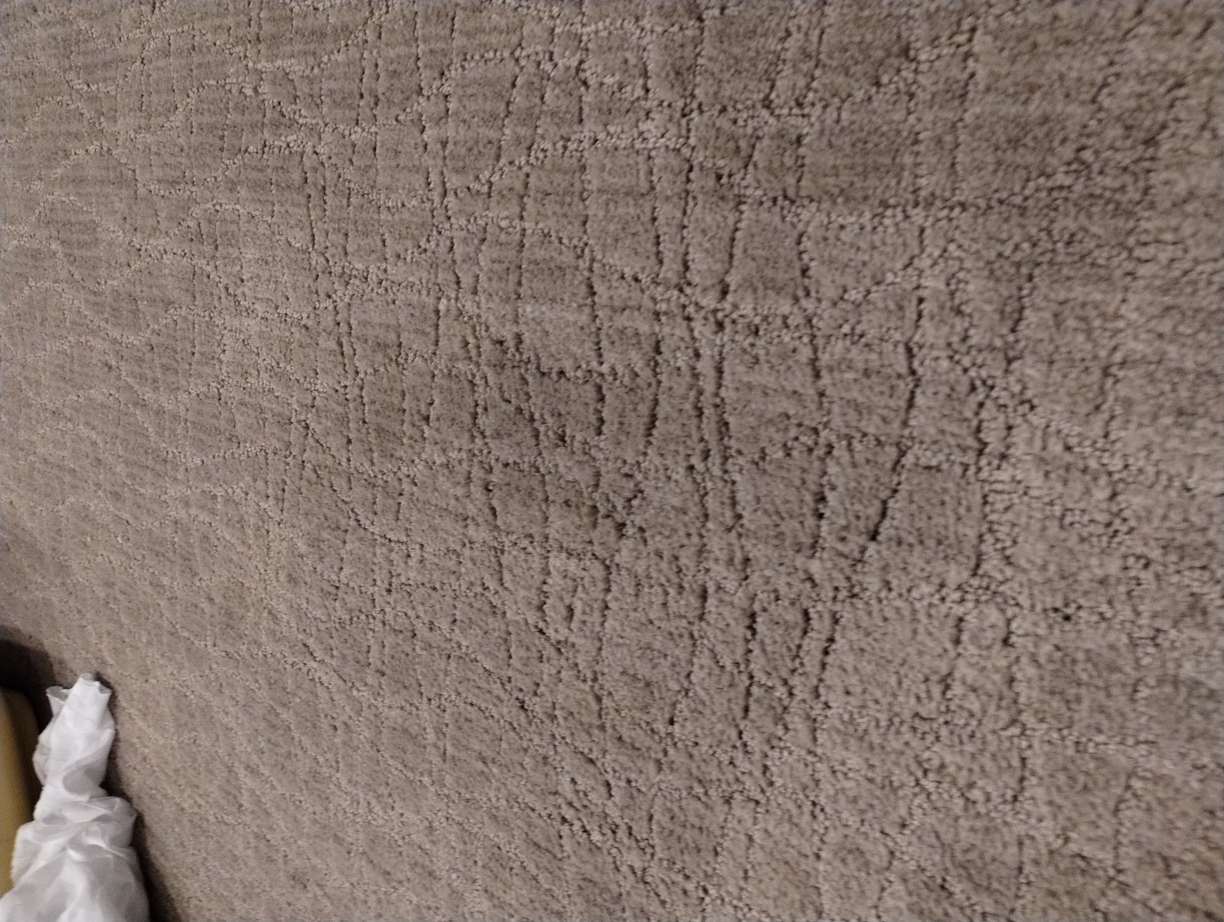 Pet carpet damage repair — after