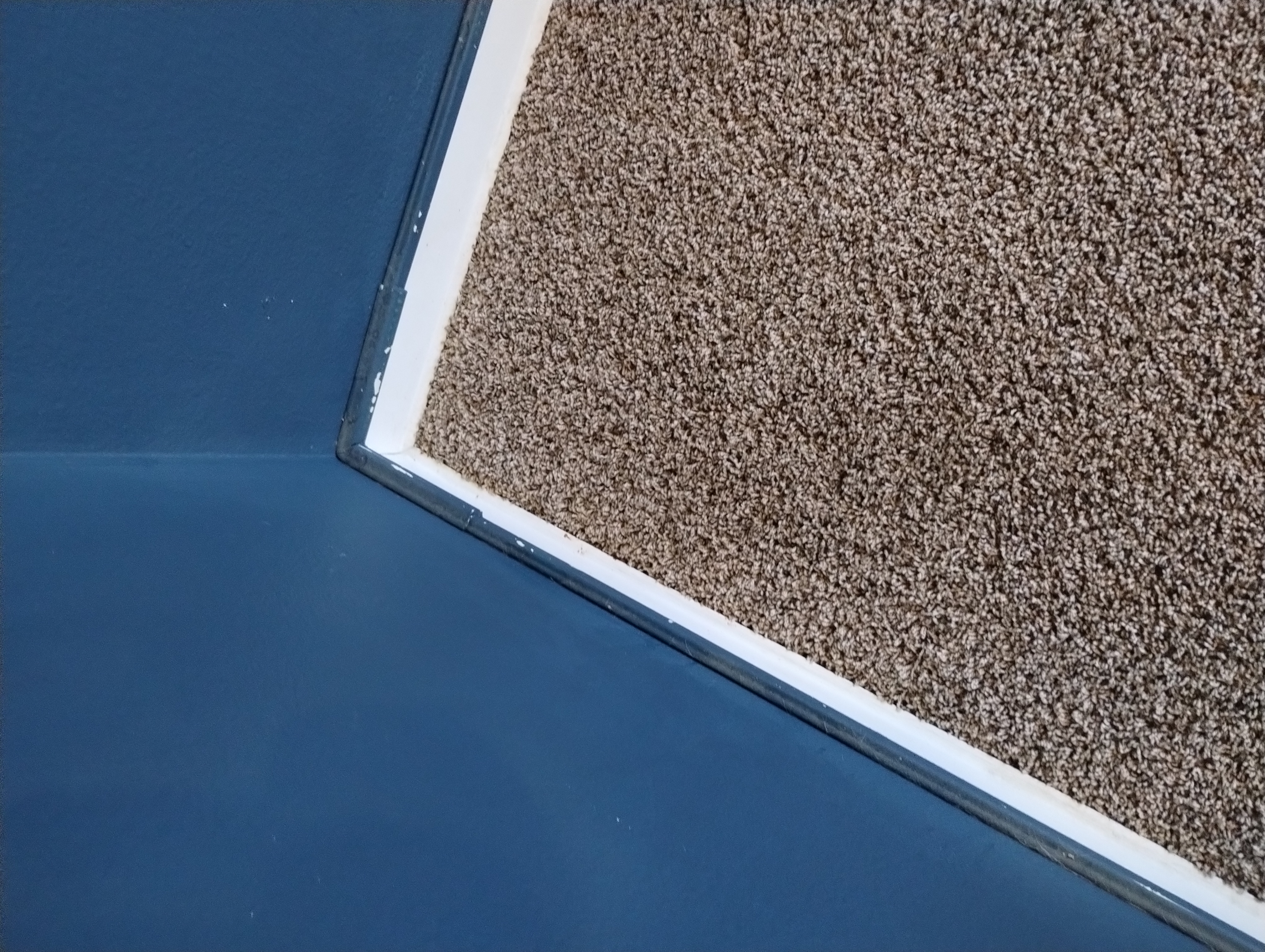 Pet carpet damage repair — after