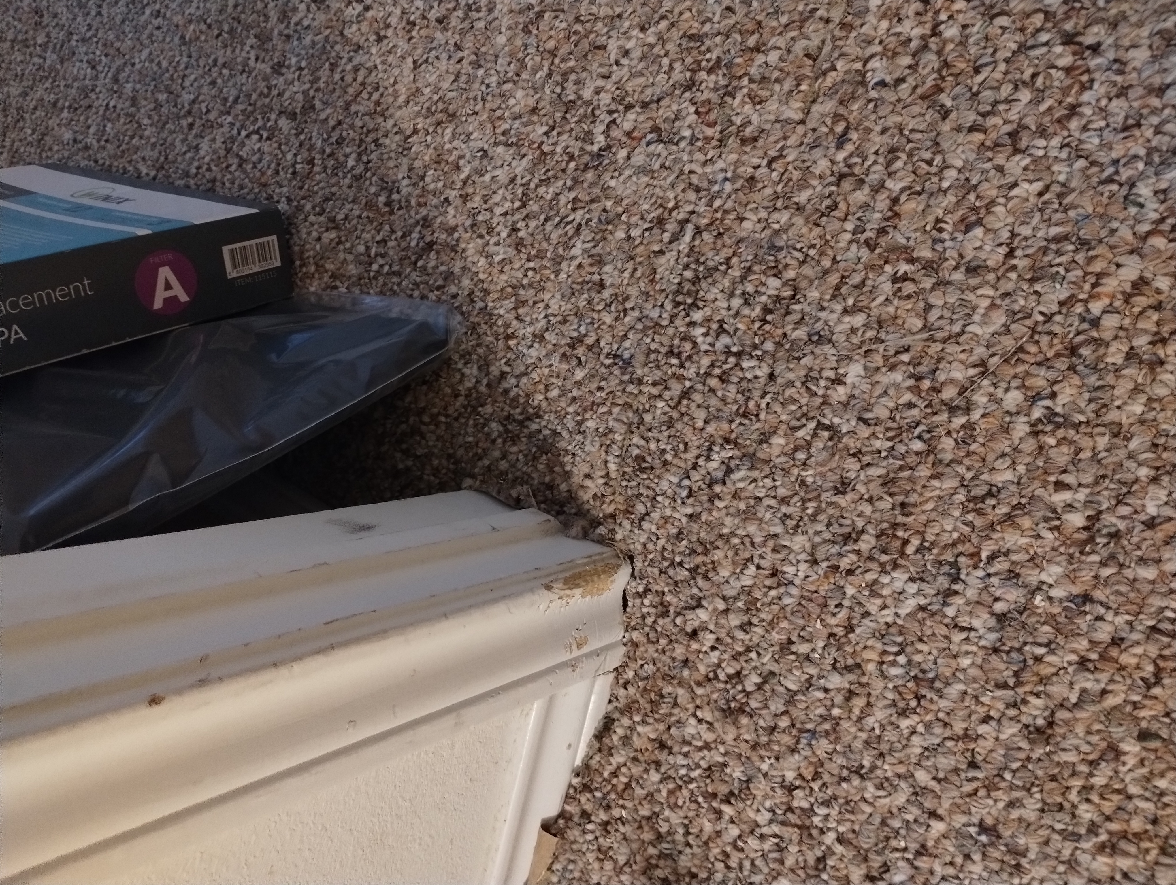 Pet carpet damage repair — after