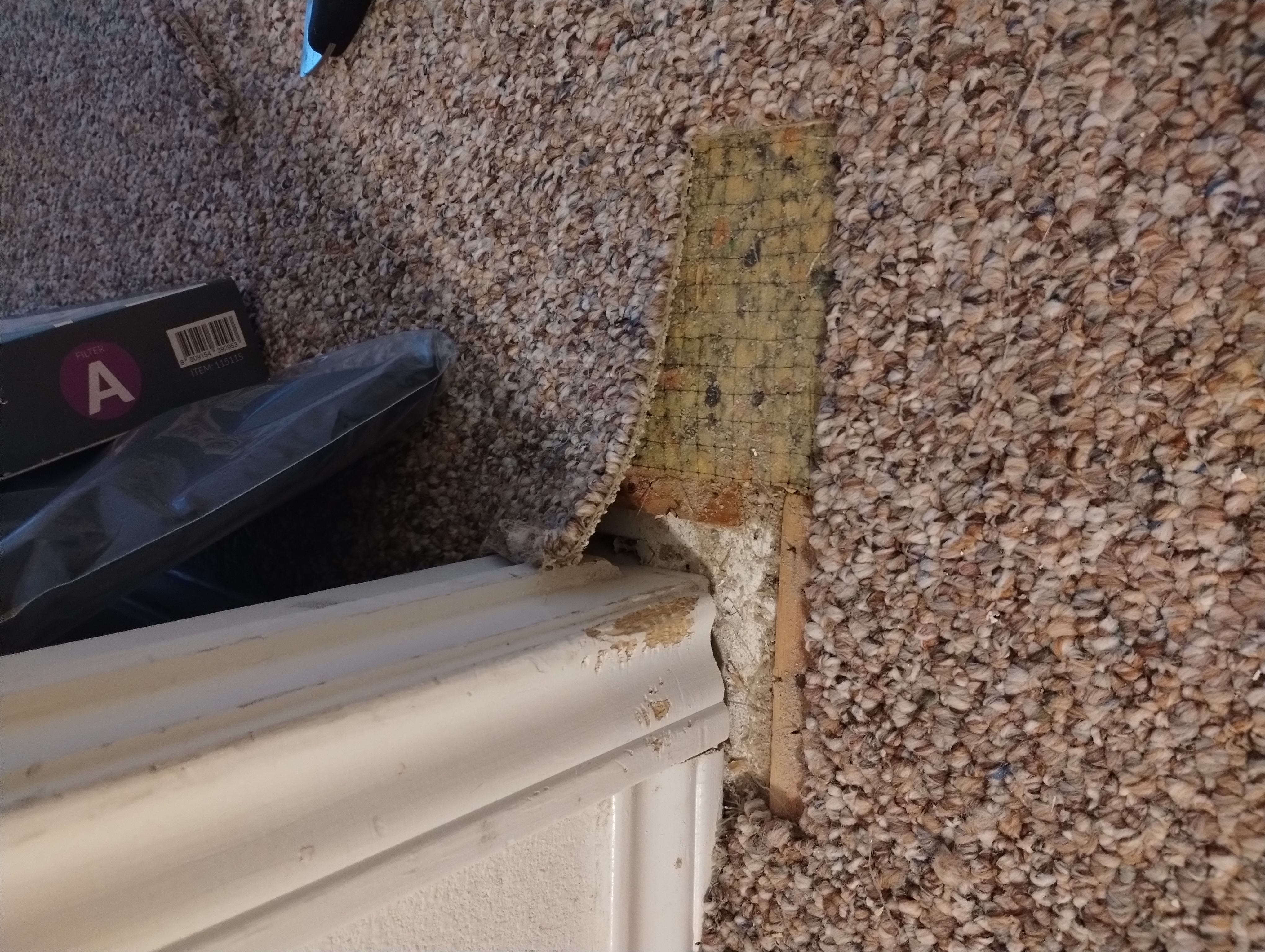 Pet carpet damage repair — before