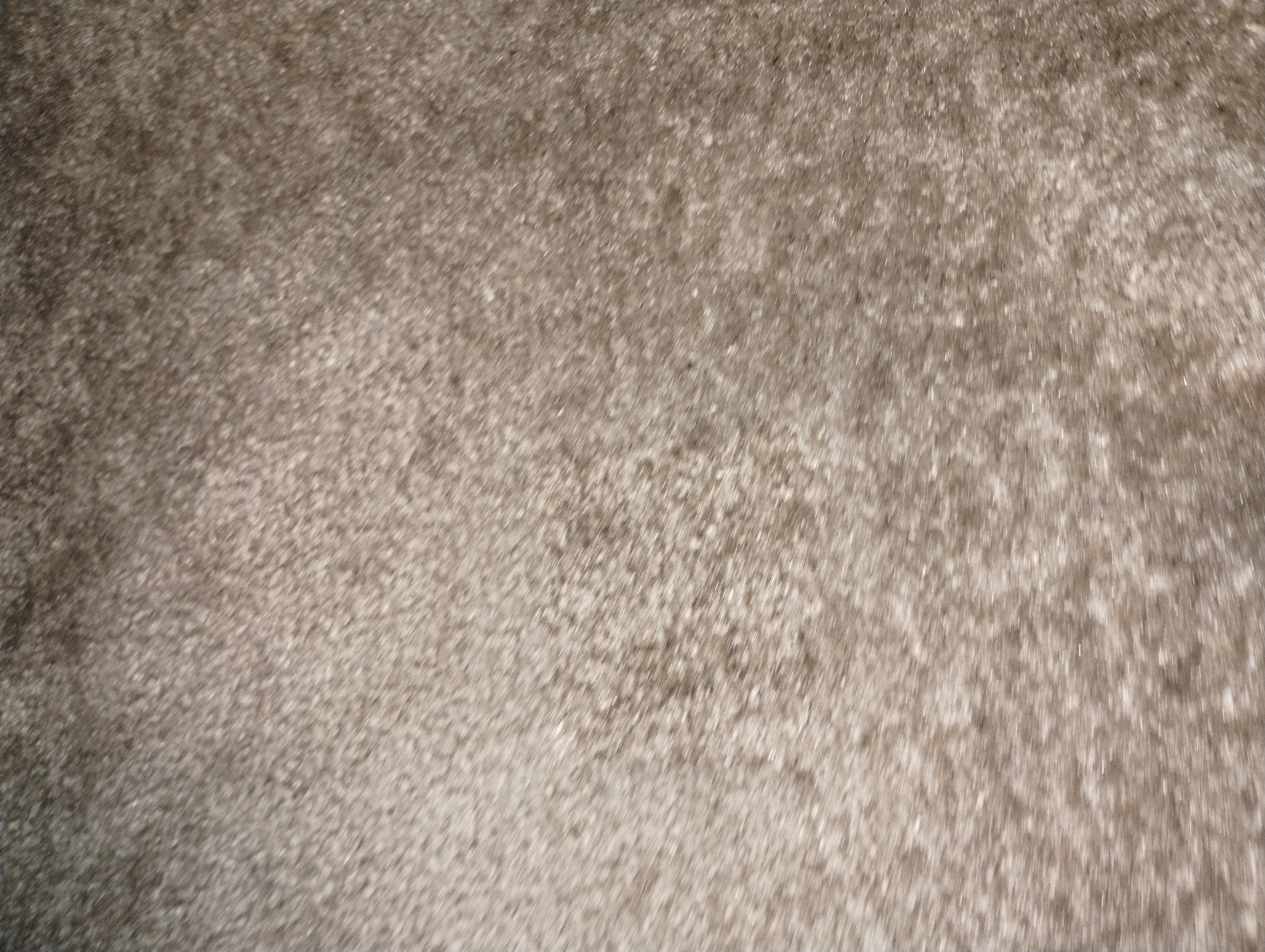Pet carpet damage repair — after