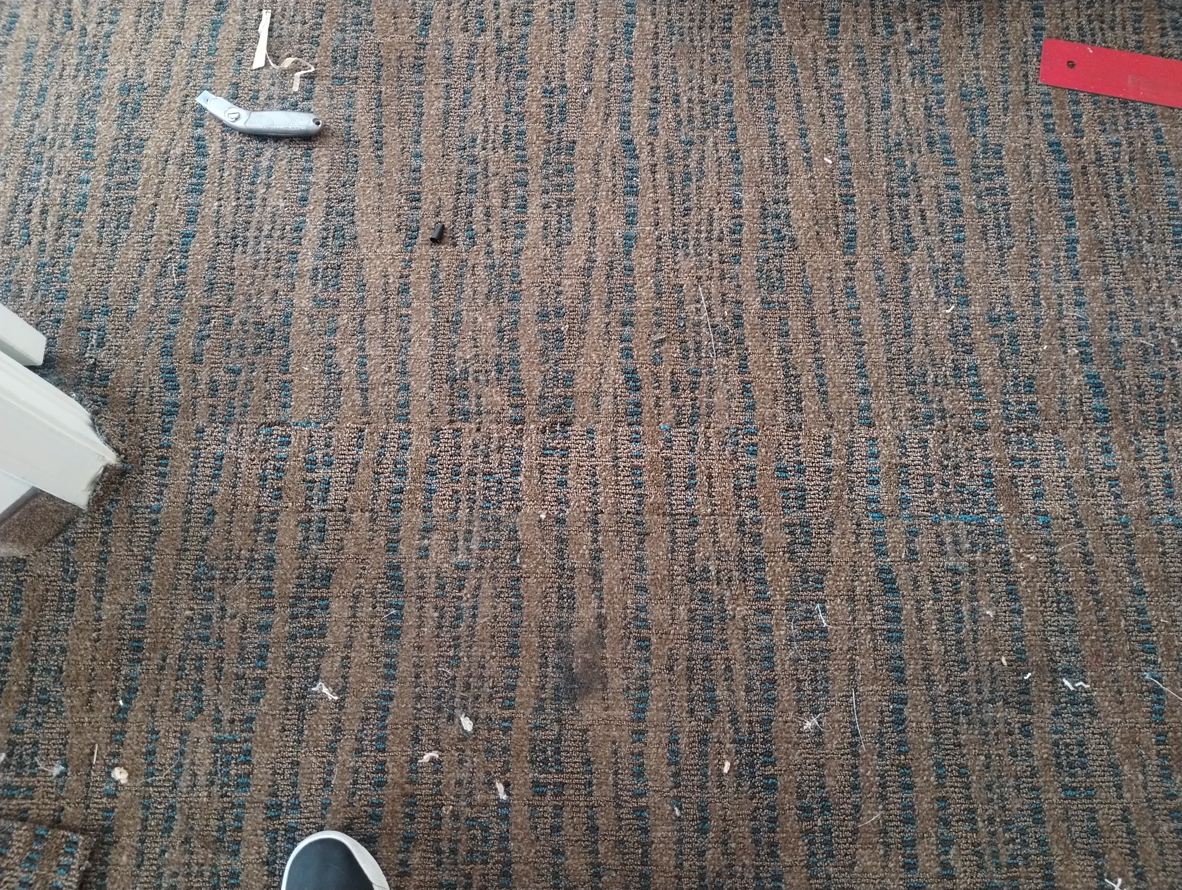 Pet carpet damage repair — after
