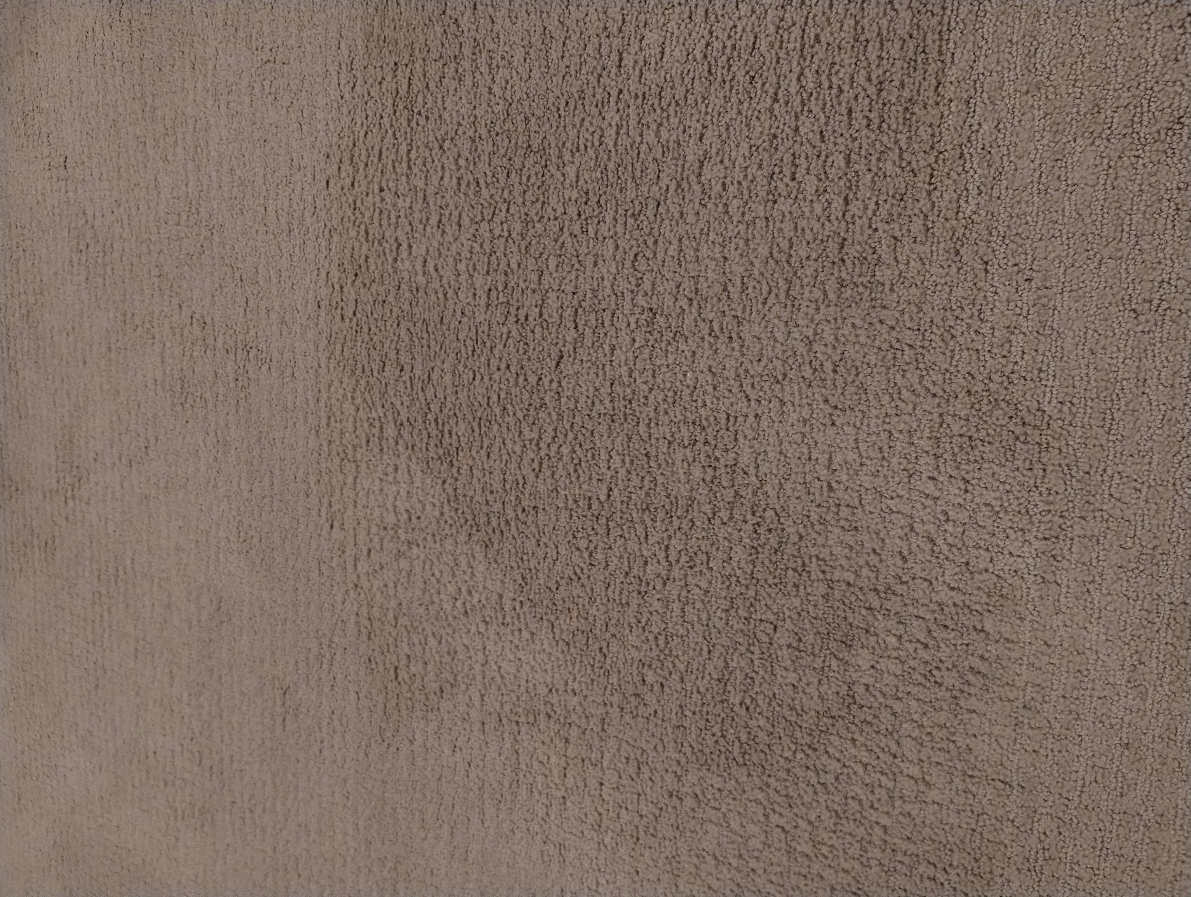 Pet carpet damage repair — after