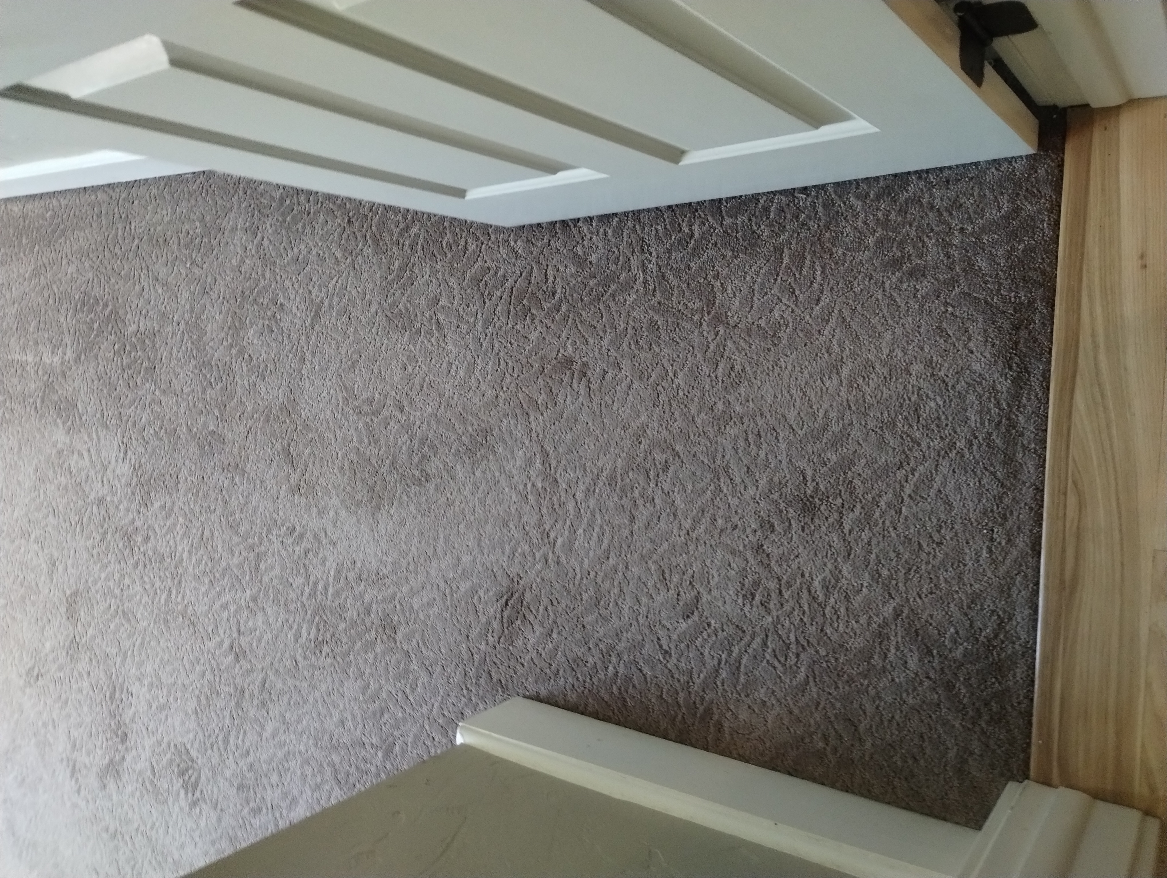 Pet carpet damage repair — after