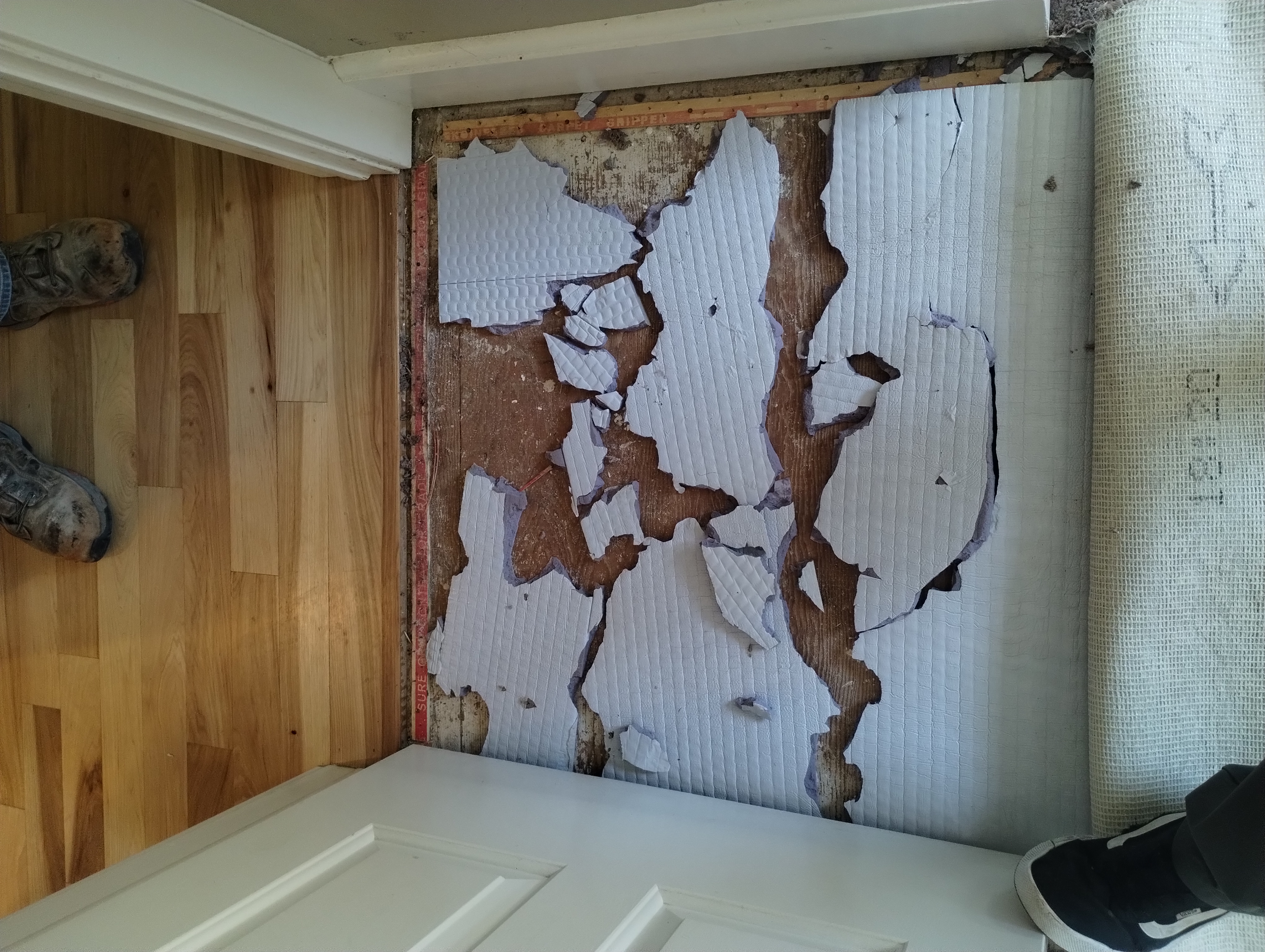 Pet carpet damage repair — before