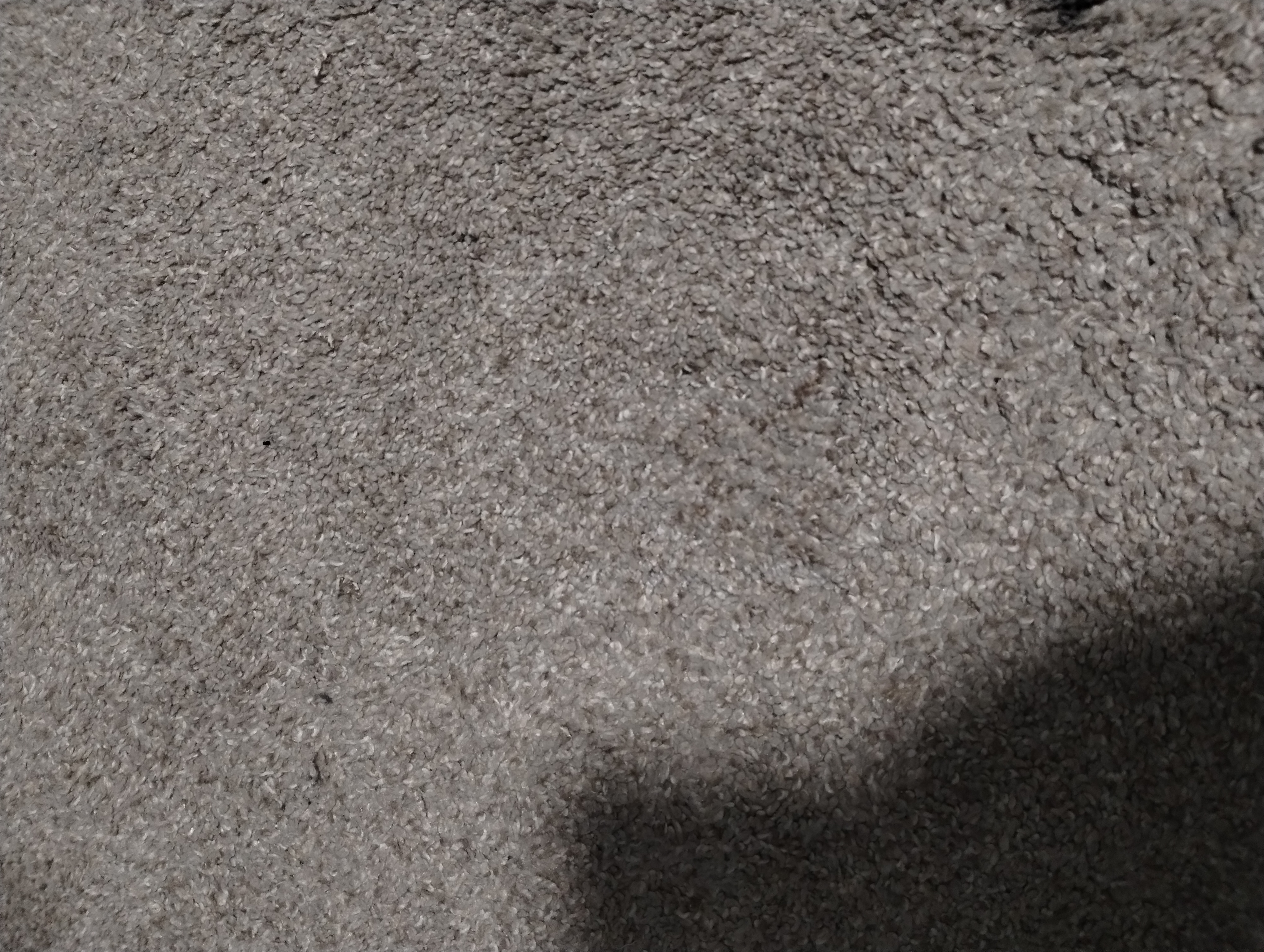 Pet carpet damage repair — after