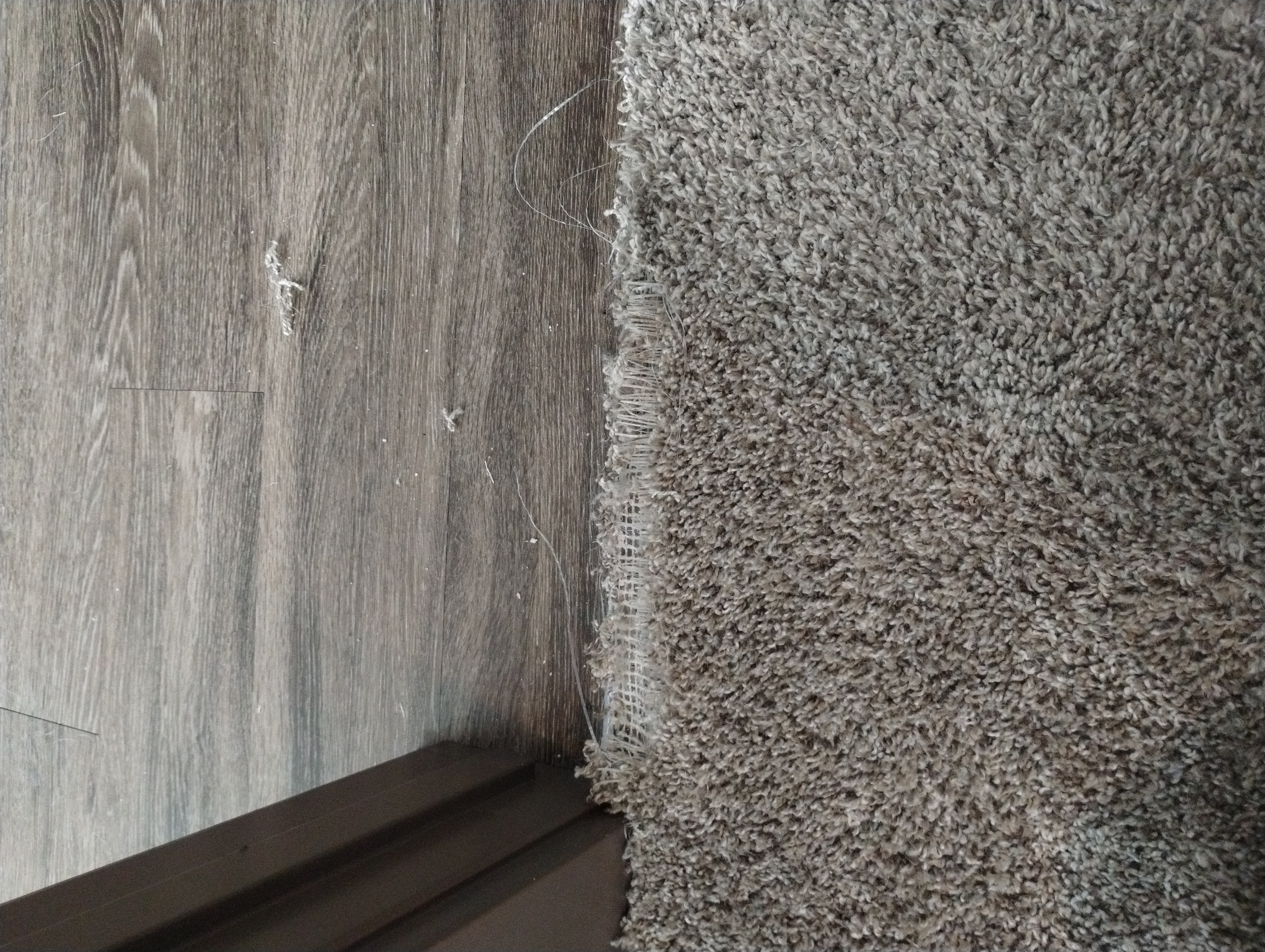 Pet carpet damage repair — before