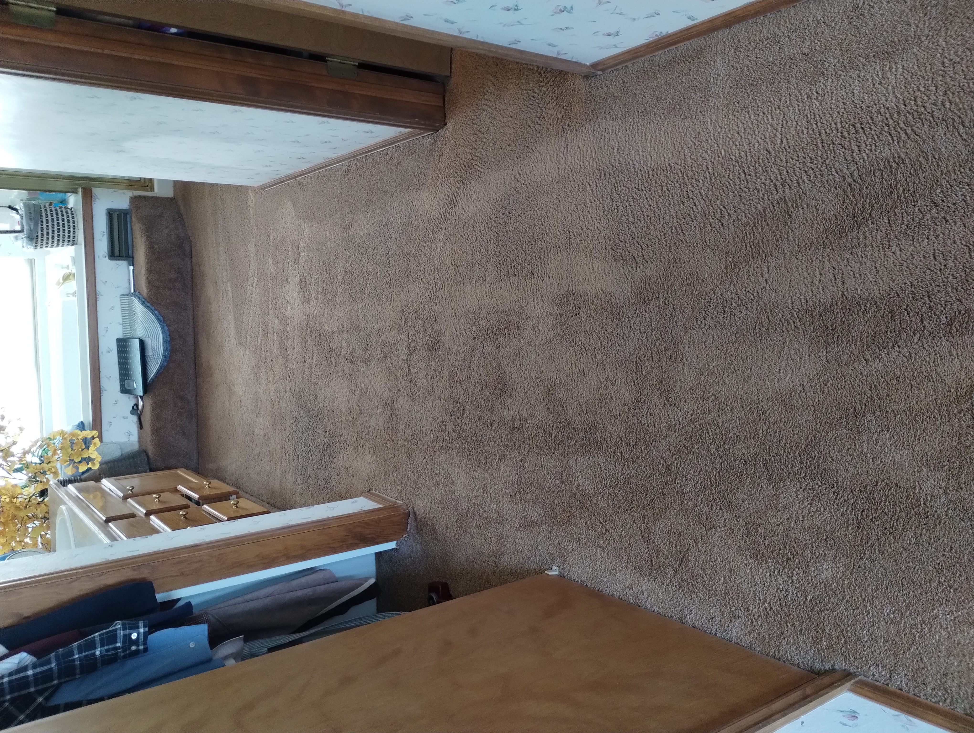 Pet carpet damage repair — after