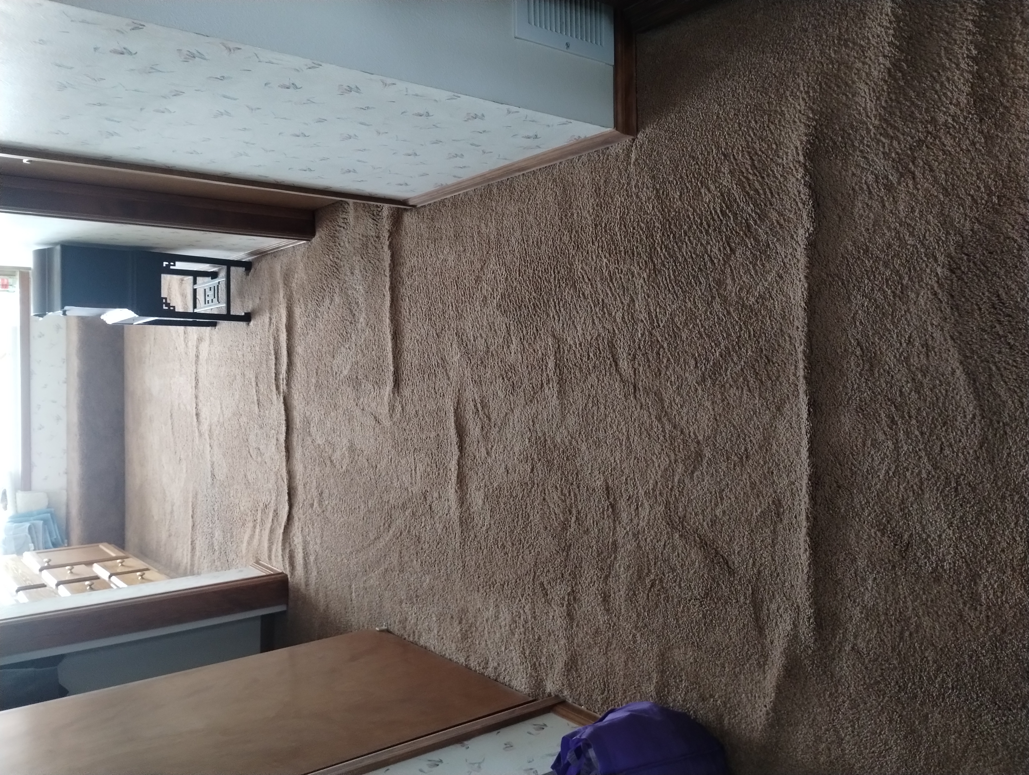 Pet carpet damage repair — before
