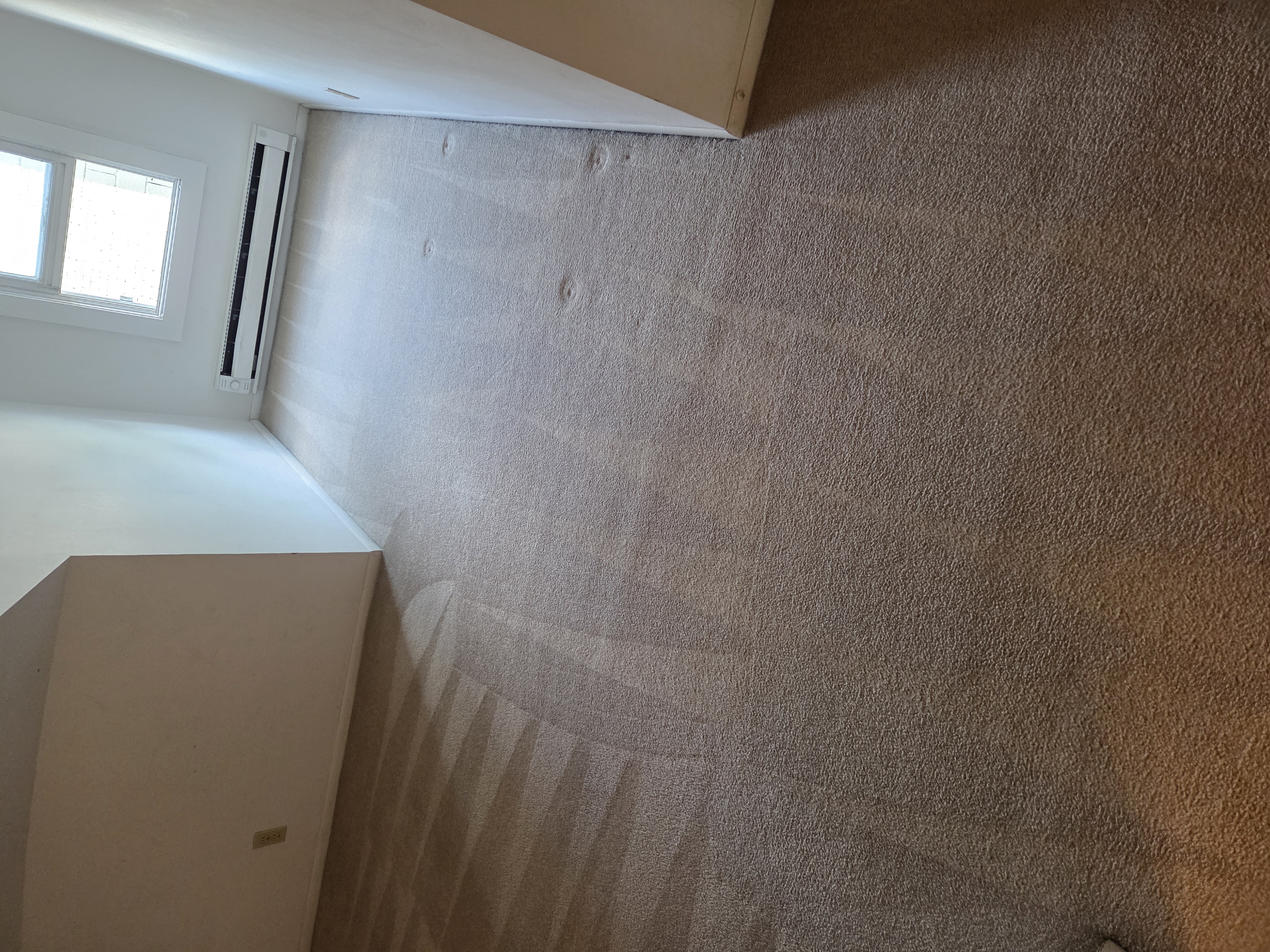 Pet carpet damage repair — after