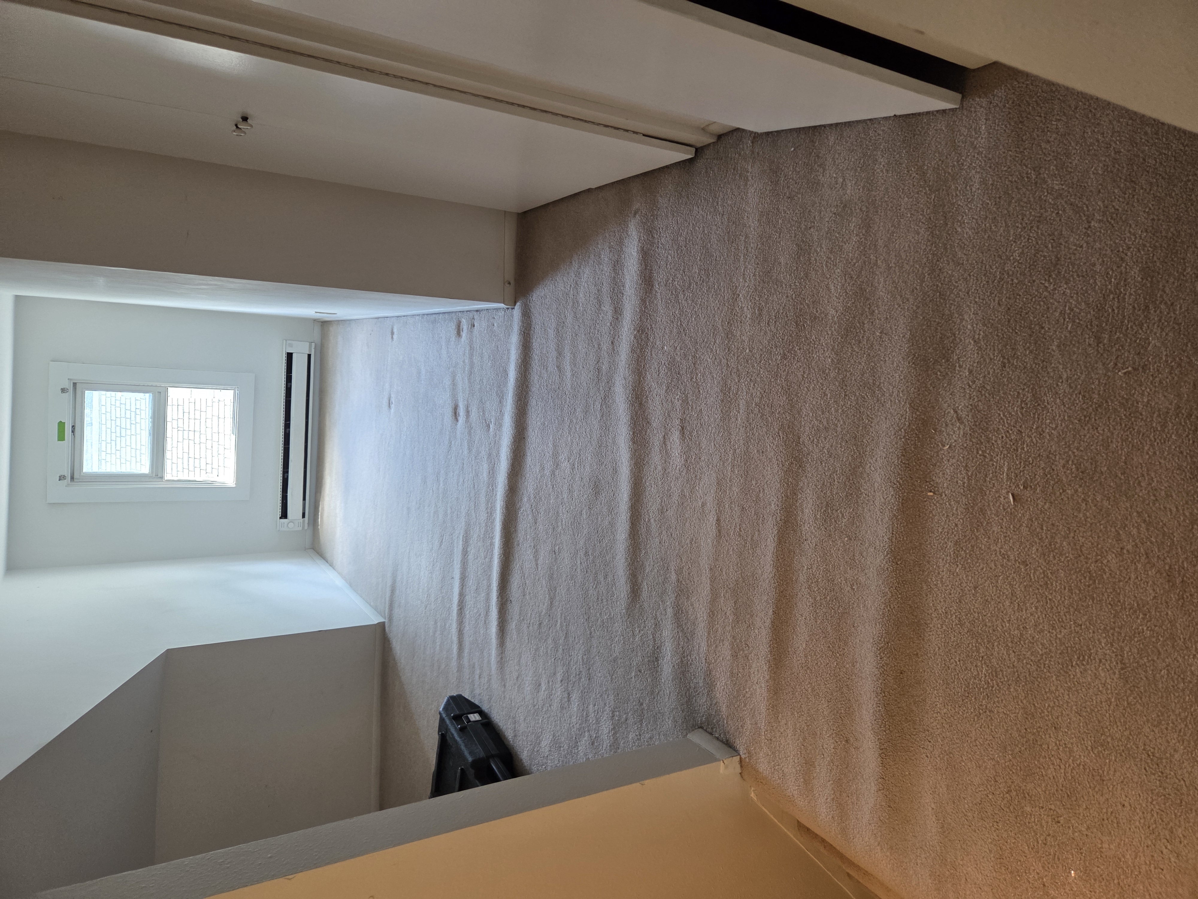 Pet carpet damage repair — before