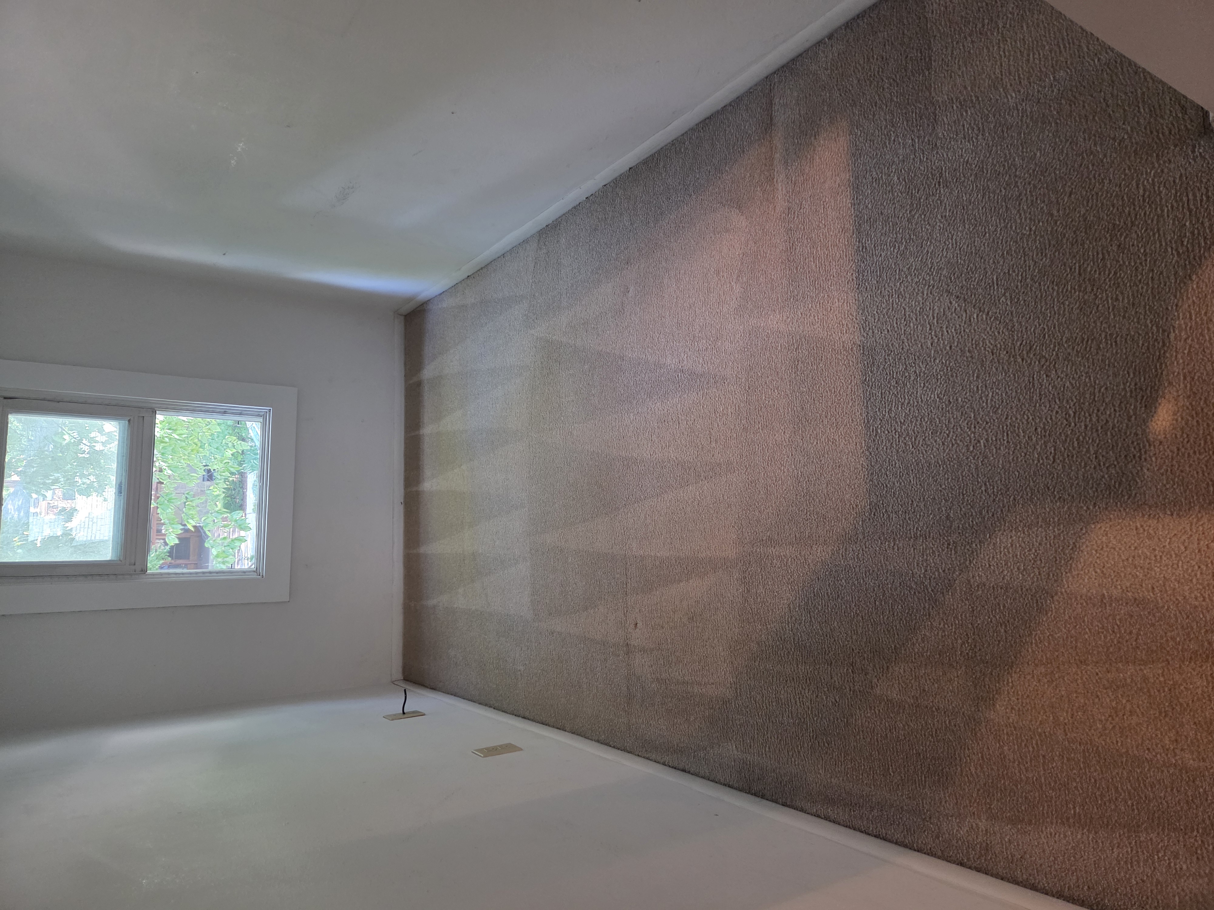 Pet carpet damage repair — after