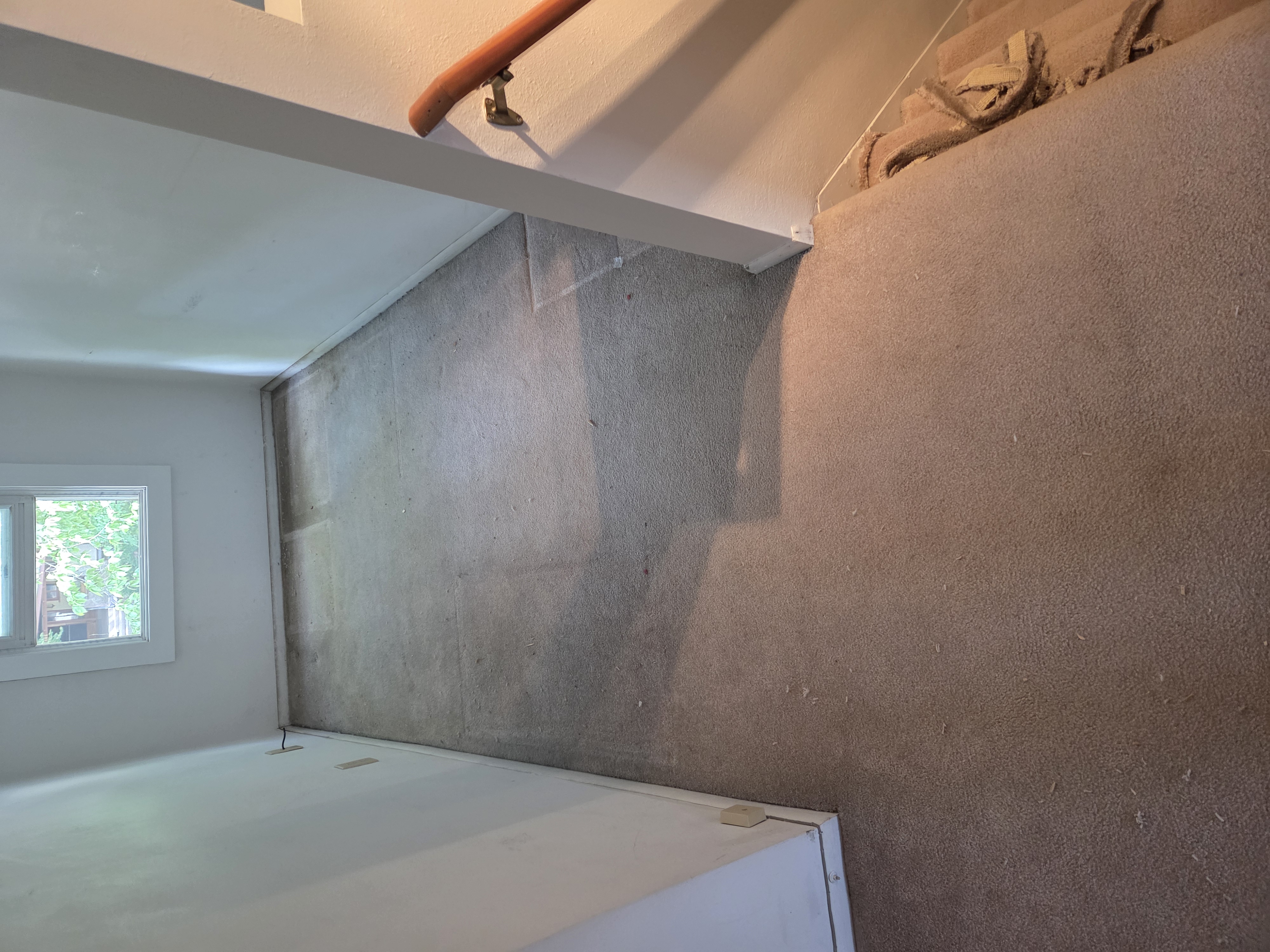 Pet carpet damage repair — before