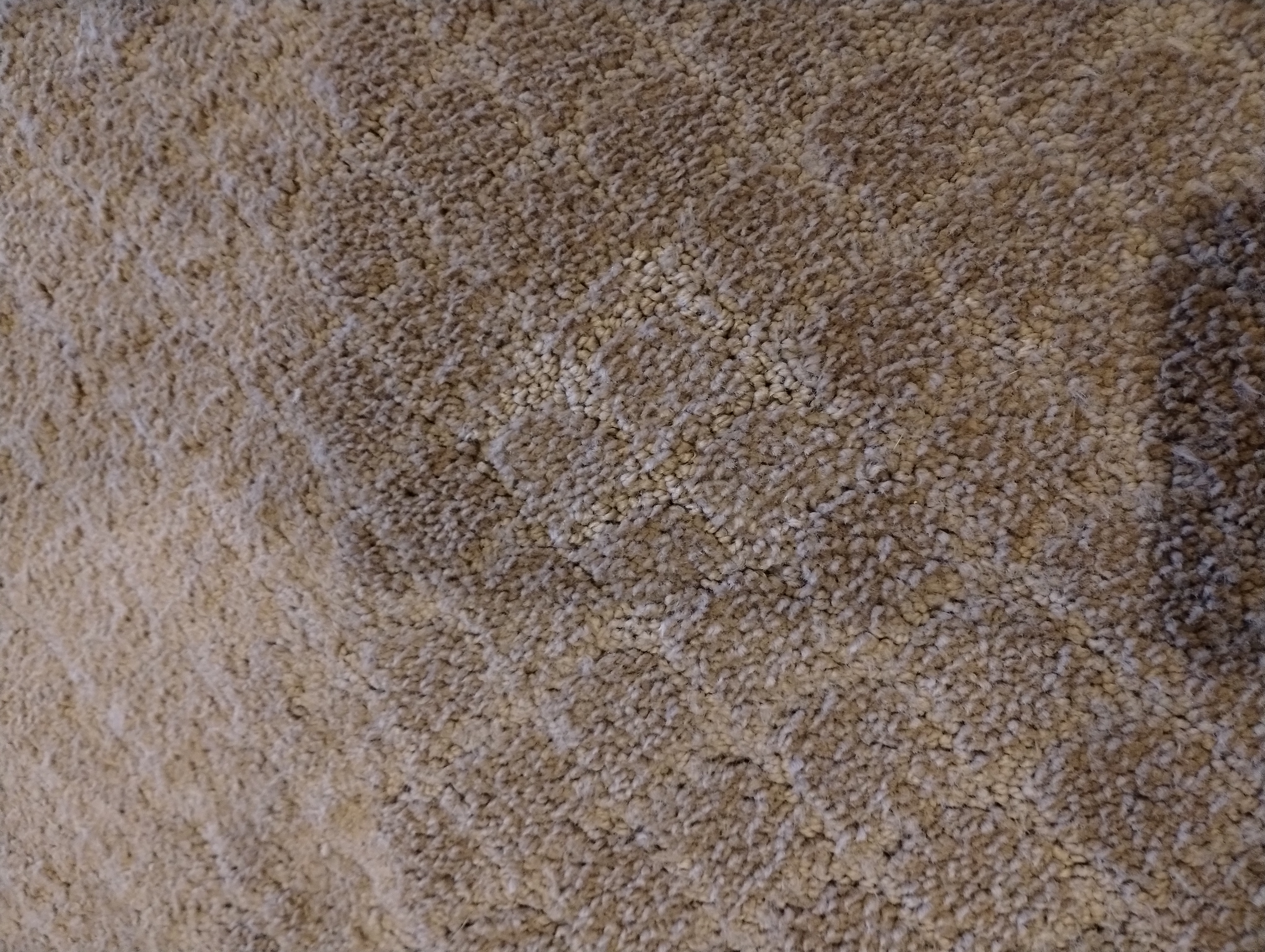 Pet carpet damage repair — after