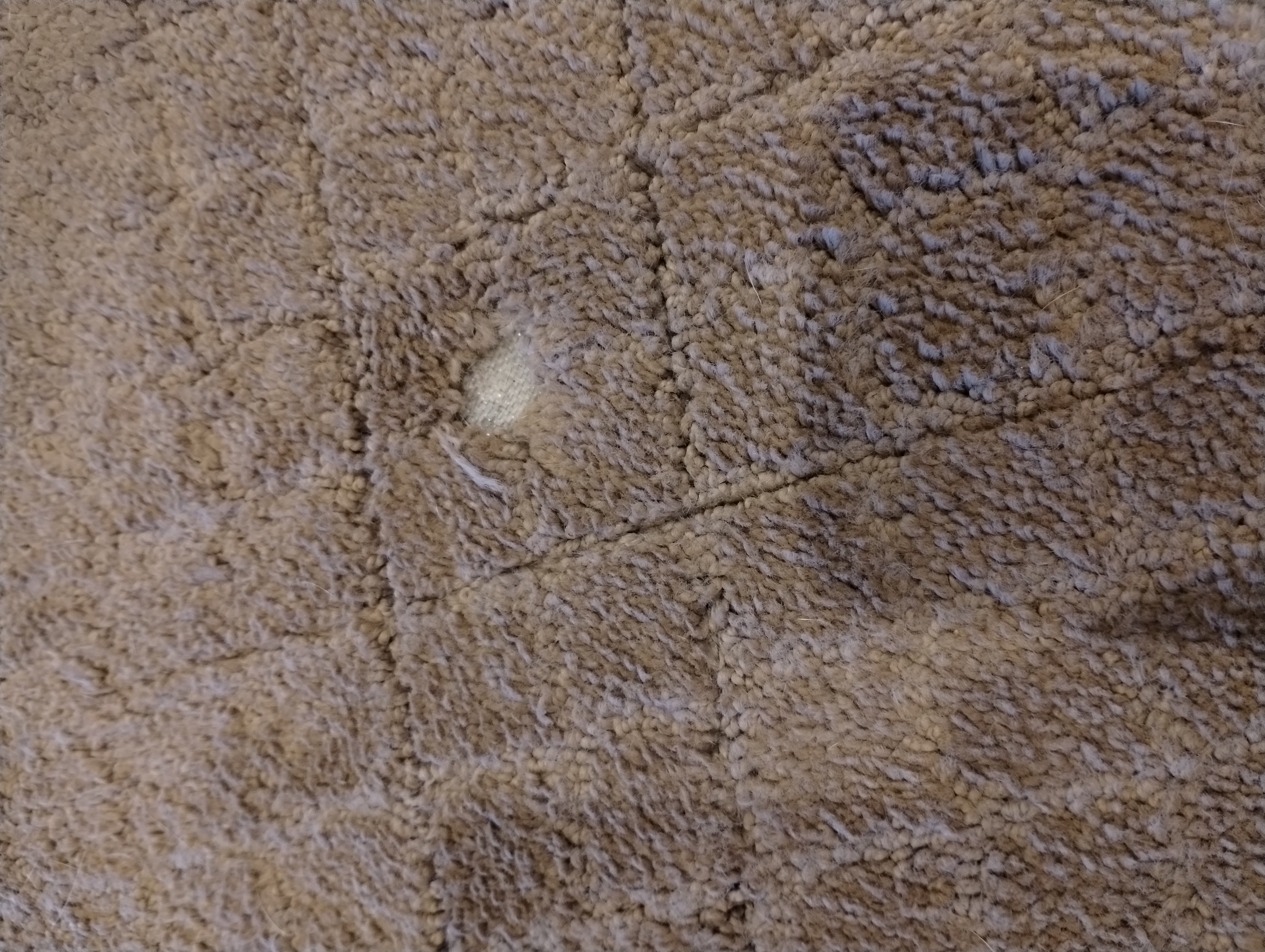 Pet carpet damage repair — before