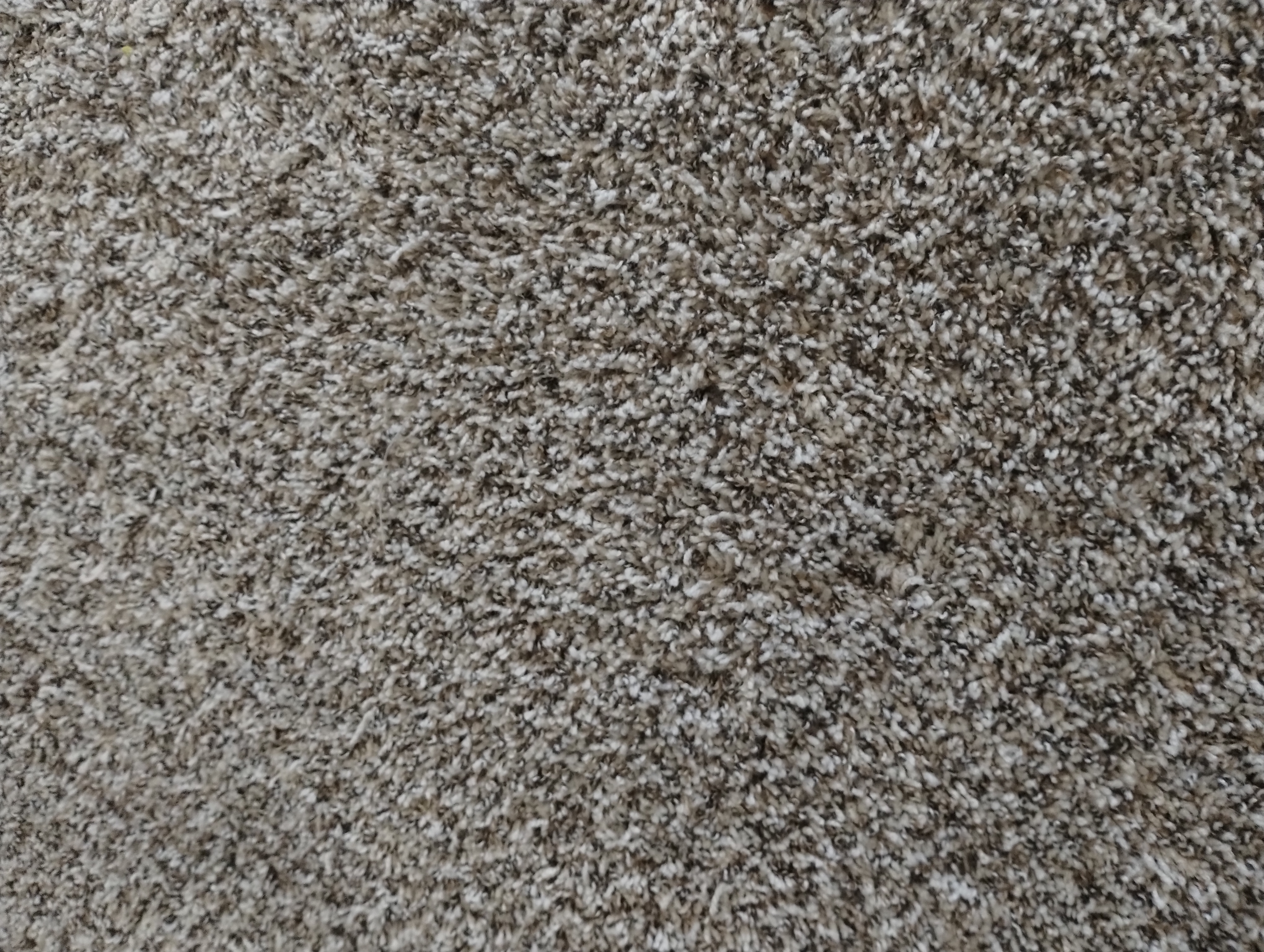 Pet carpet damage repair — after
