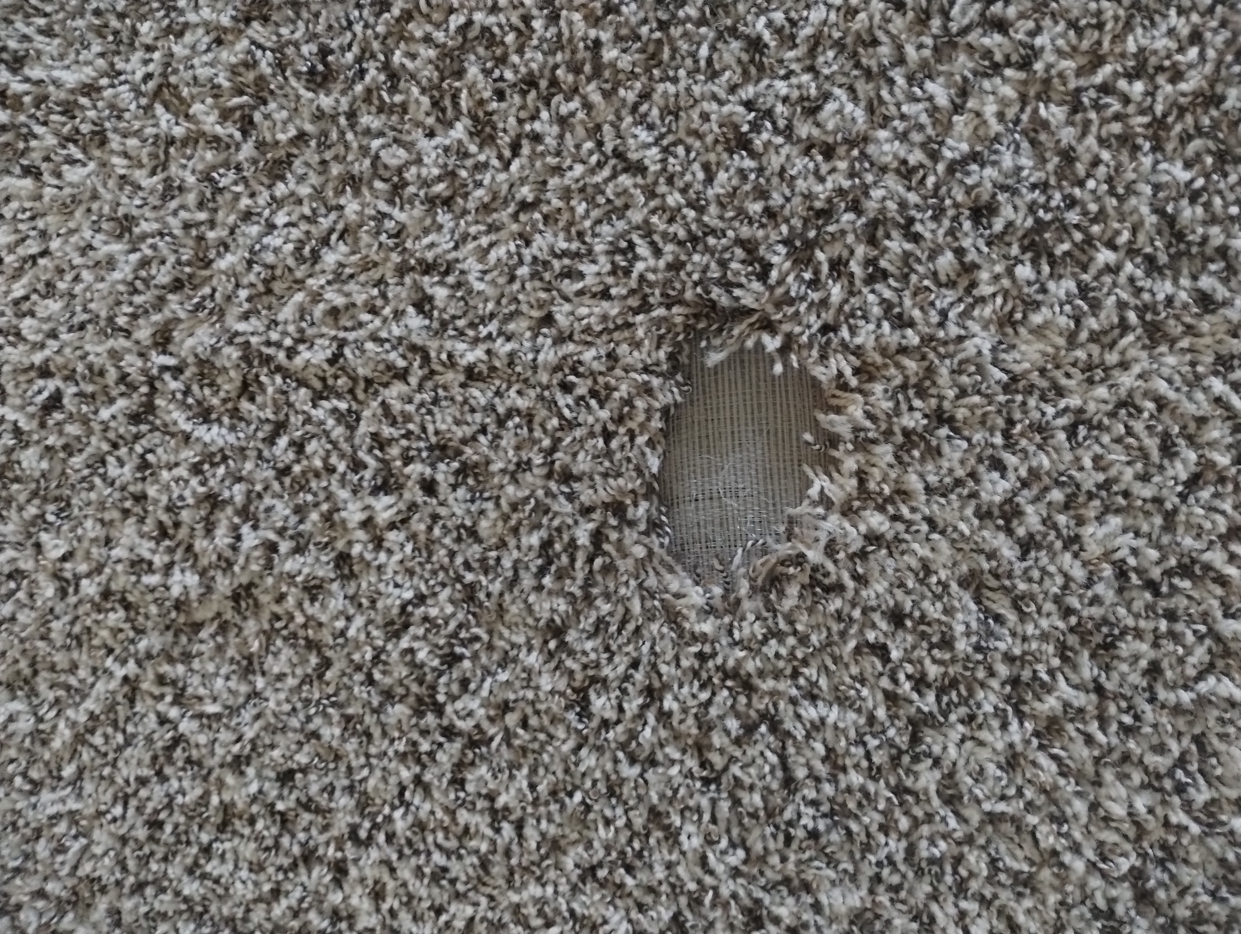 Pet carpet damage repair — before