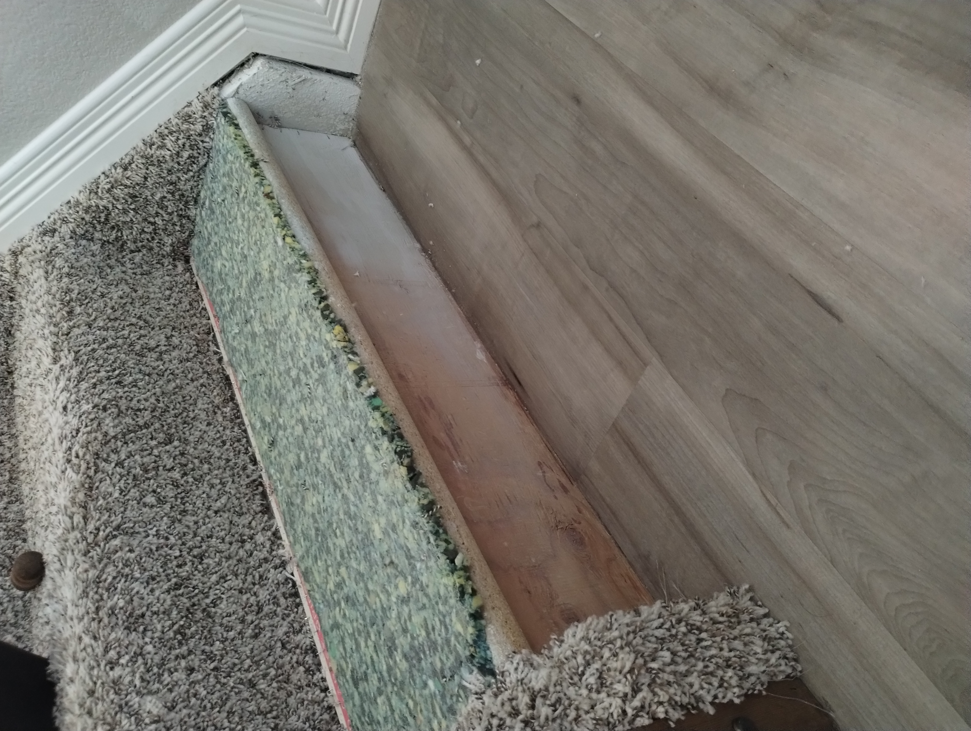 Pet carpet damage repair — before