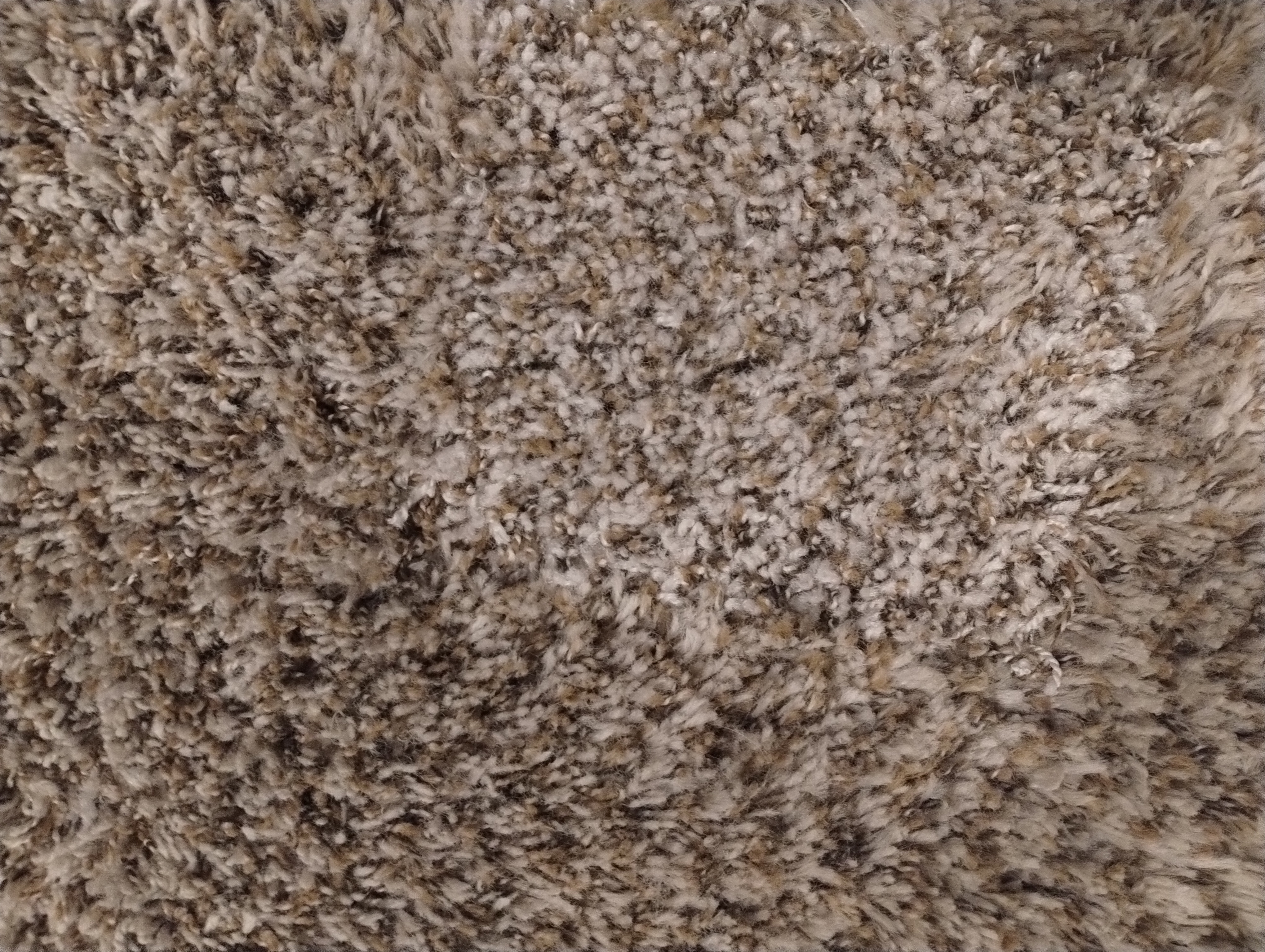 Pet carpet damage repair — after
