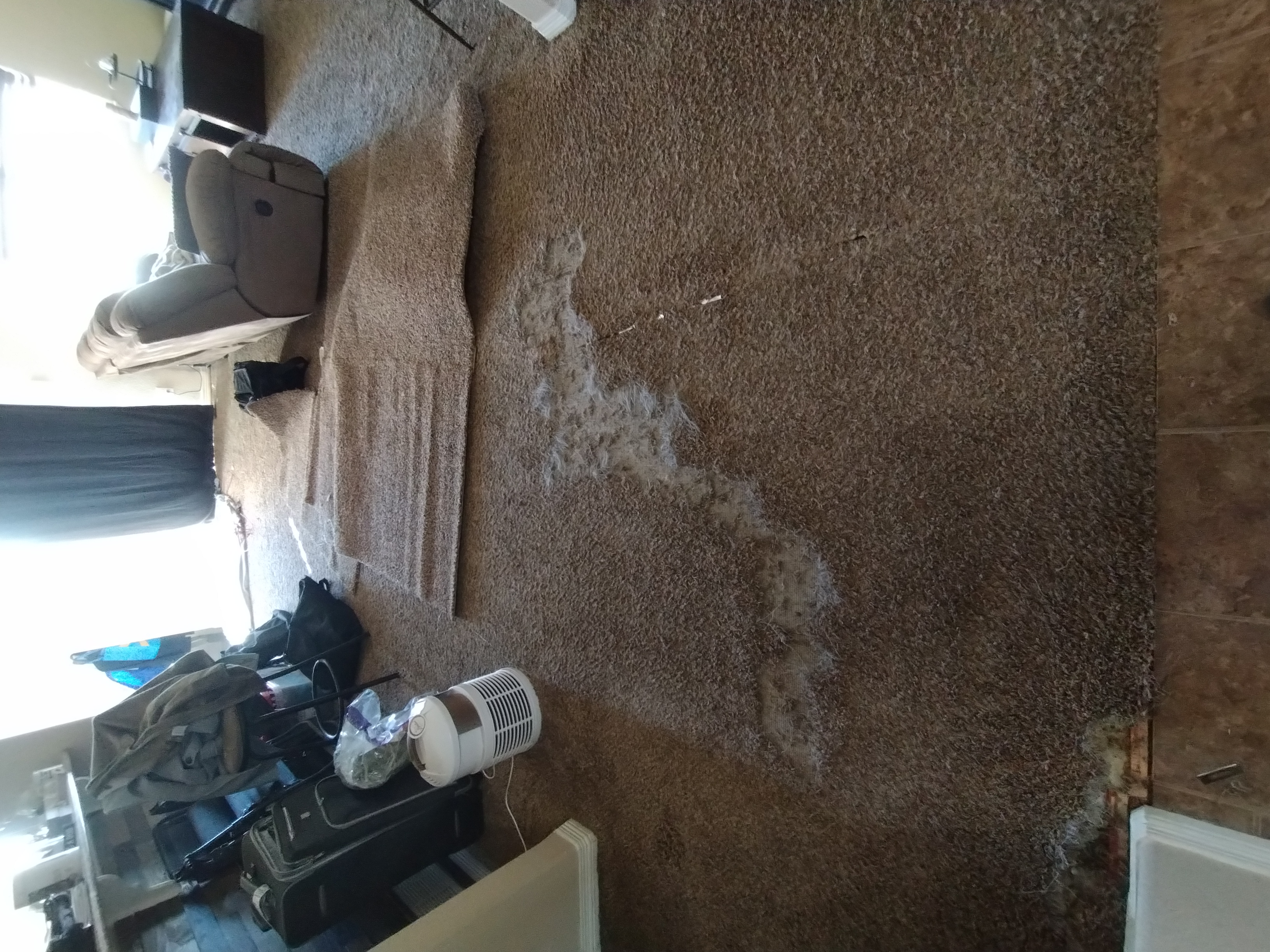 Before heavy soil